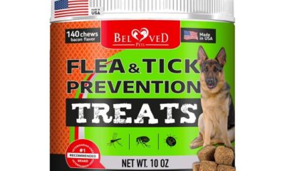 12 Best Flea and Tick Medicines for Dogs in 2022