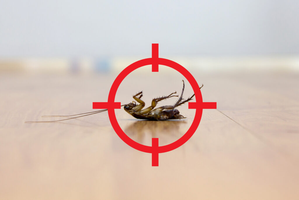 3 Reasons Why You Need Effective Pest Control