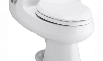 6 Best Pressure Assisted Toilets of 2022