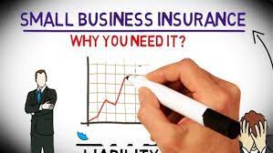 Why Small Businesses Should Have Insurance