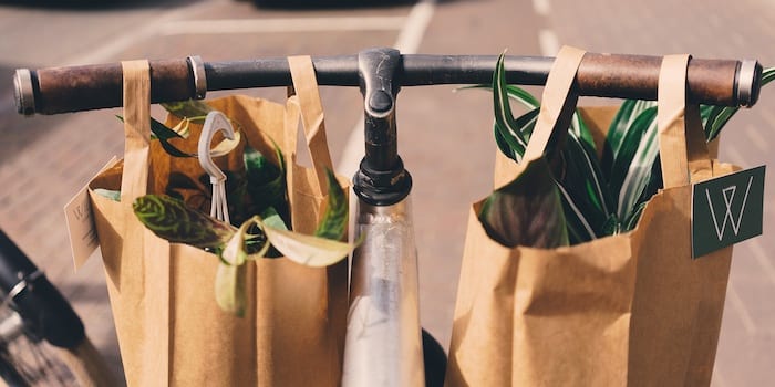 Eco-Friendly Shopping: Why What You Buy Matters for the Planet and Your Health