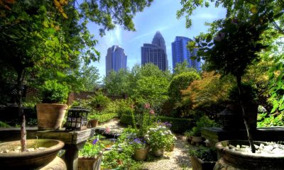 Exploring Charlotte'S Green Spaces: A Tour Of Fourth Ward Park