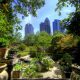 Exploring Charlotte'S Green Spaces: A Tour Of Fourth Ward Park