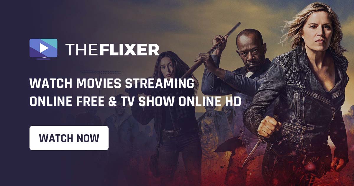What is Theflixer? Is It Safe and Legal?